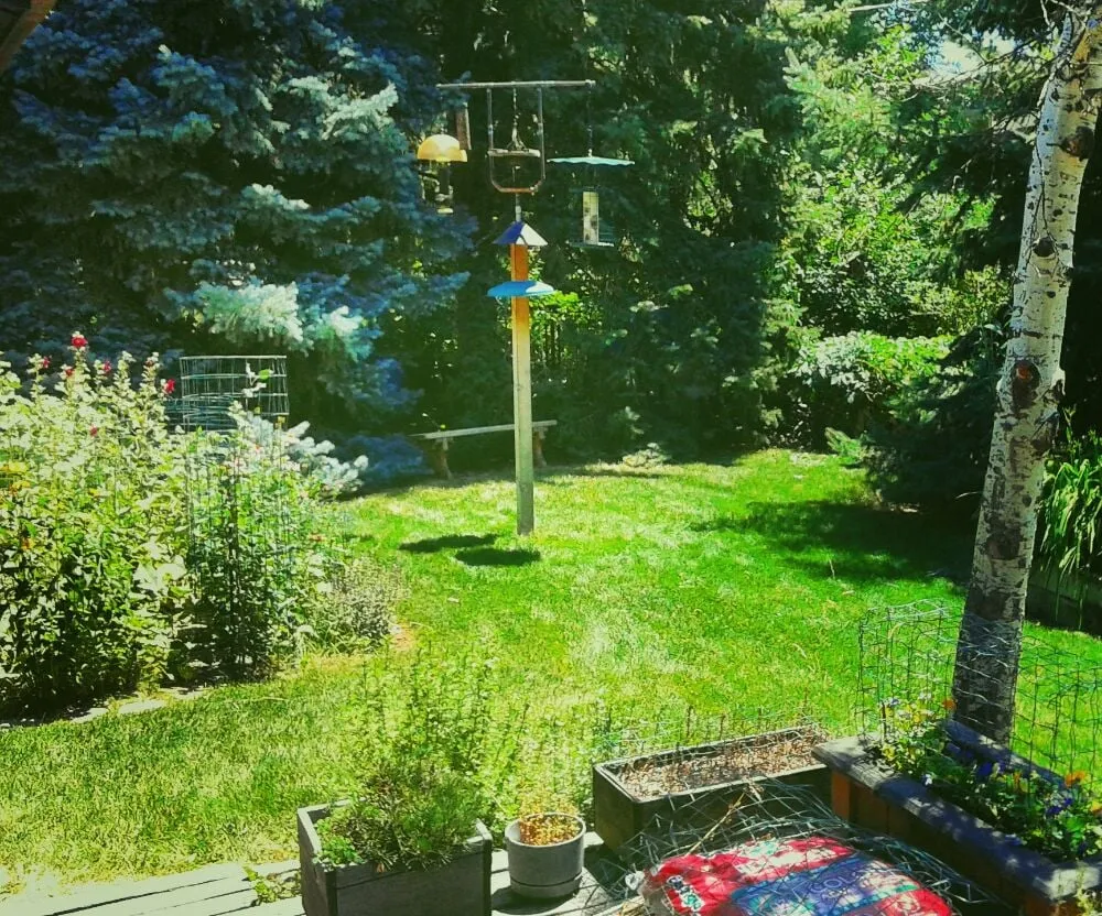 Affordable landscape design for homes in Boulder, CO by New Dawn Lawn Care