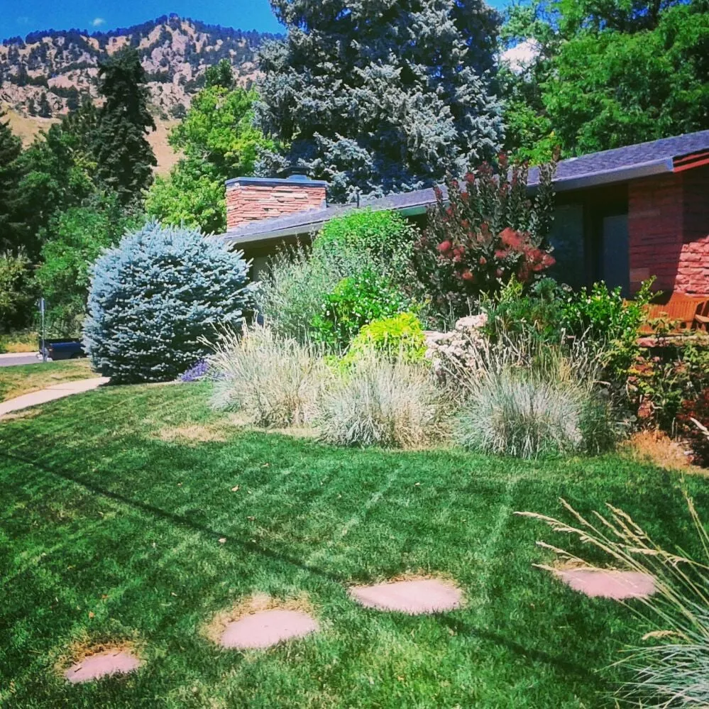 Top-rated garden landscaping in Boulder, CO by New Dawn Lawn Care