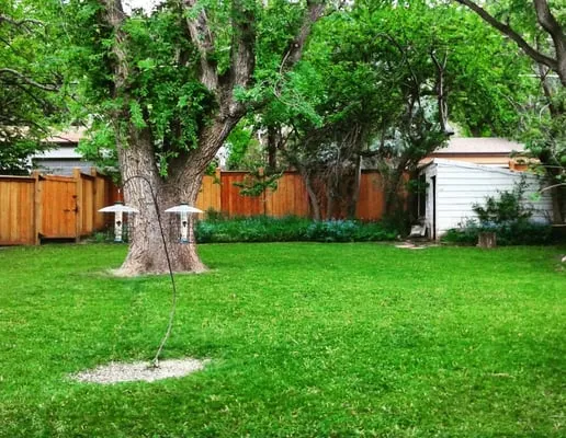 New Dawn Lawn Care Logo