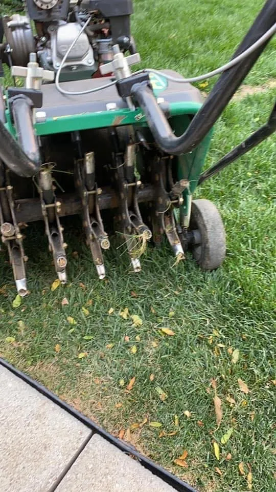 Reliable landscape design in Lafayette, CO by New Dawn Mowing