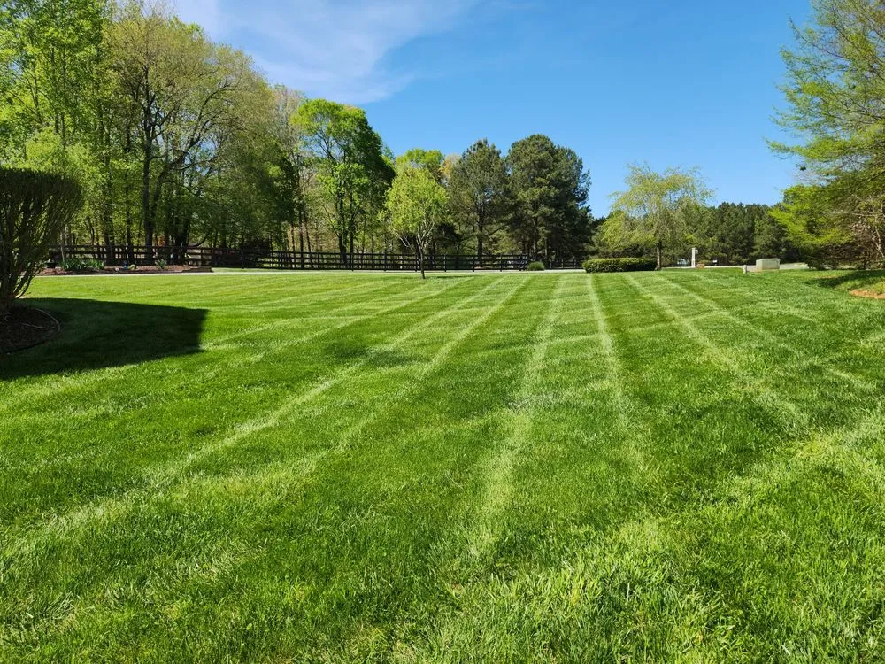 Top-rated outdoor landscaping experts serving Mebane, NC - New Day Landscape & Hardscaping of Mebane