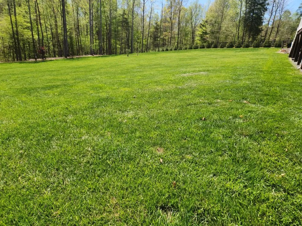 Professional landscape design in Mebane, NC - New Day Landscape & Hardscaping of Mebane