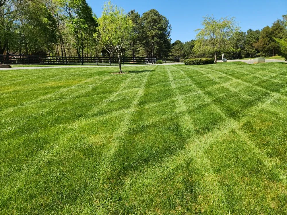 Local yard cleanup service near you across Mebane, NC - New Day Landscape & Hardscaping of Mebane