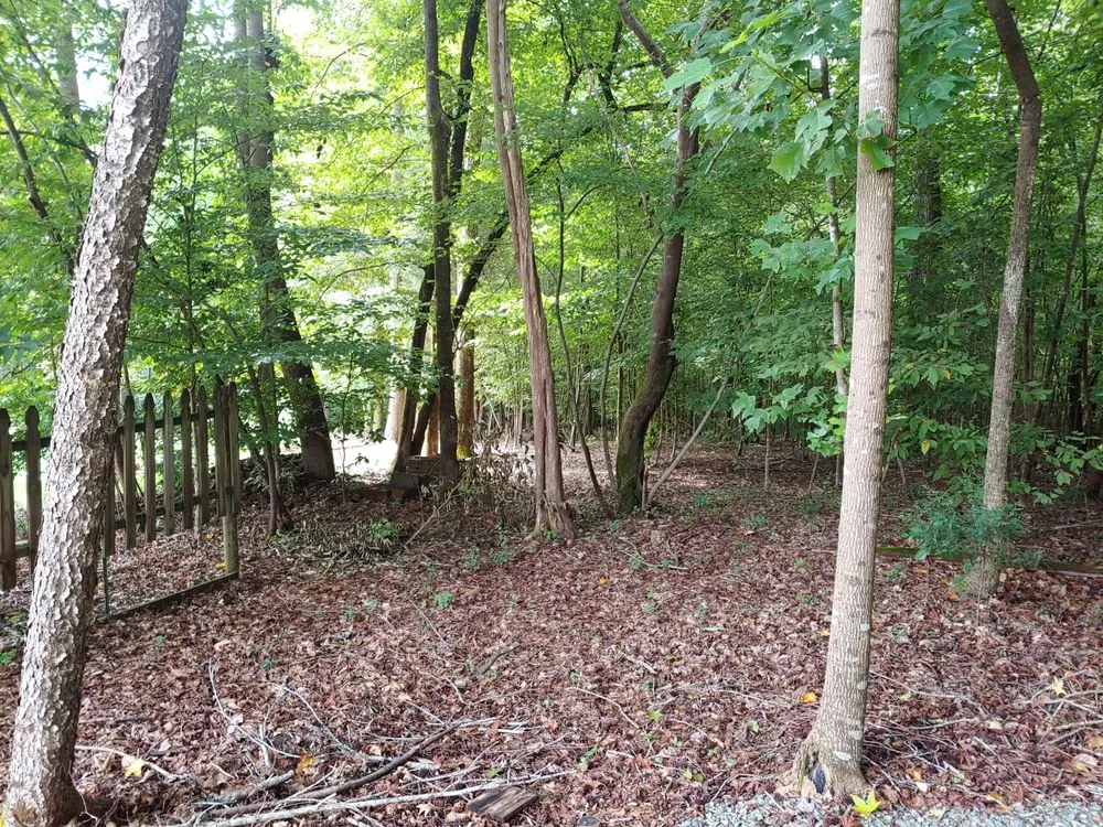 Local landscaping services in Mebane, NC - New Day Landscape & Hardscaping of Mebane