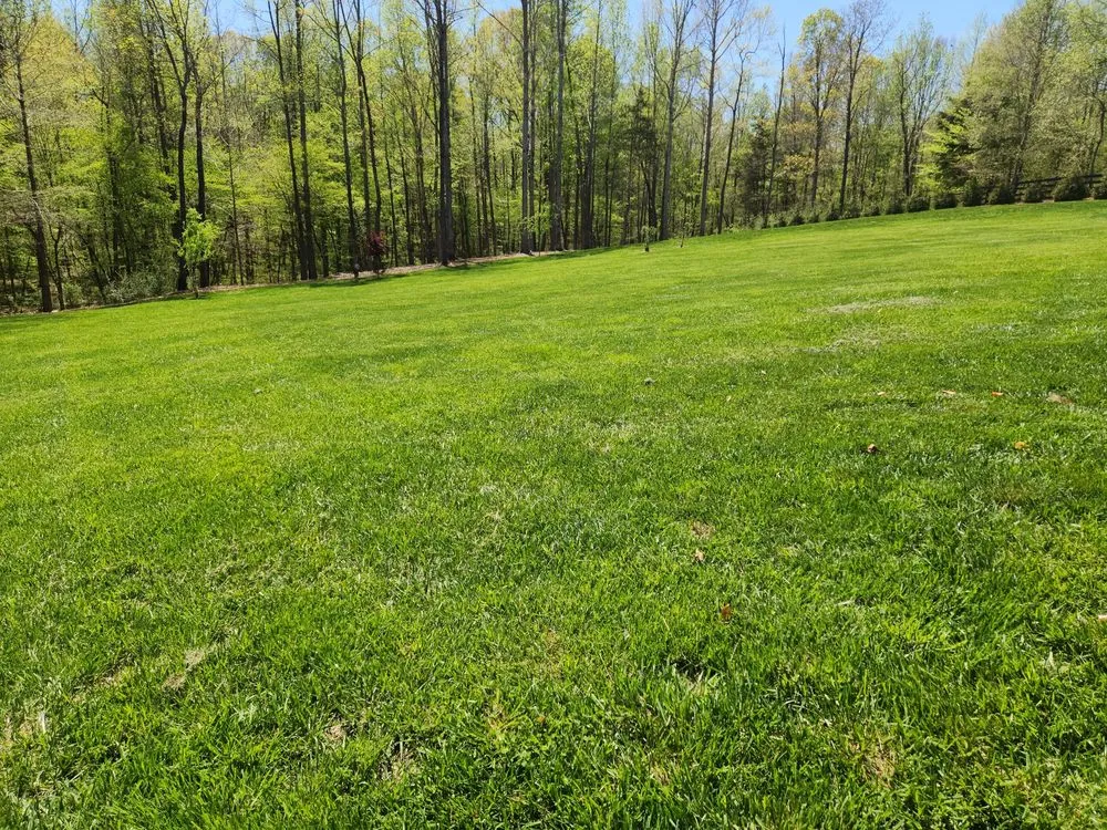 Professional landscaping services in Mebane, NC - New Day Landscape & Hardscaping of Mebane