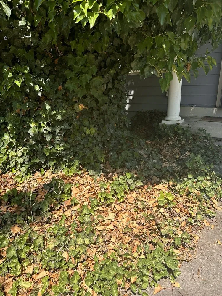 Affordable lawn care service for outdoor upgrades in Herriman, UT by New Day Landscaping