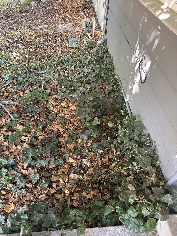 Reliable residential landscaping in Herriman, UT - New Day Landscaping