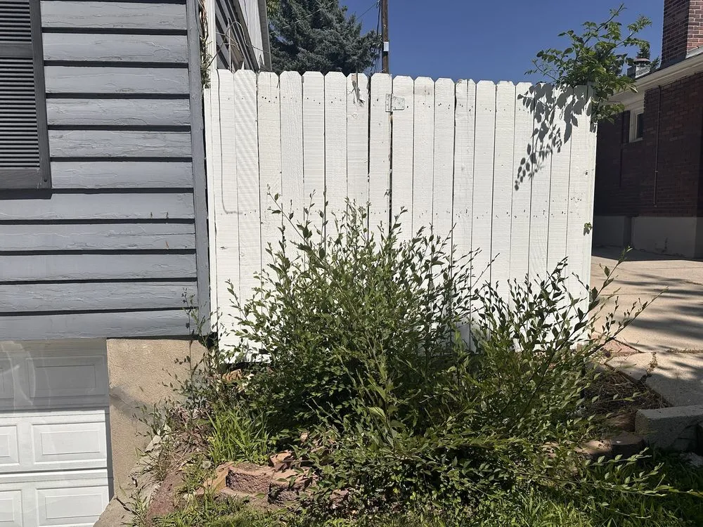 Expert yard cleanup service in Herriman, UT - New Day Landscaping