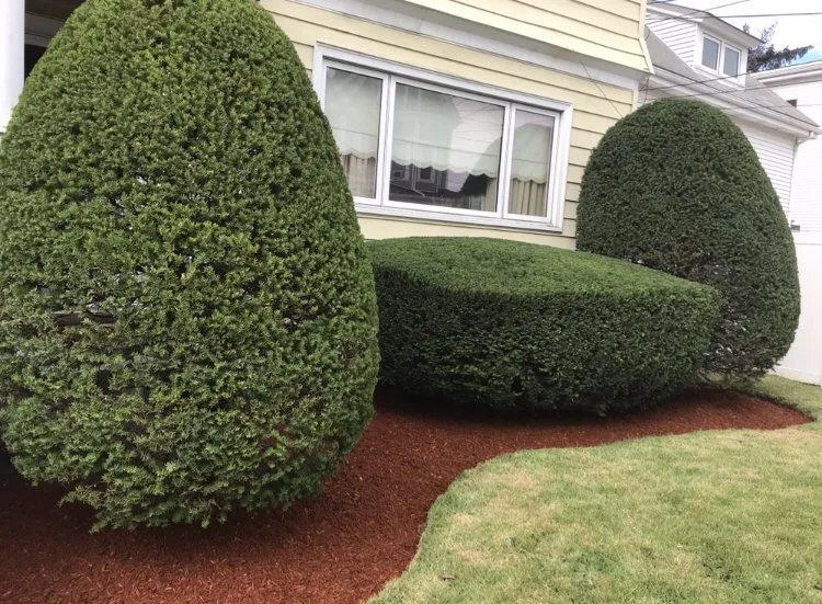 Affordable lawn mowing service in West Everett, MA - New Day Landscaping