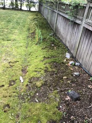 New Day Landscaping