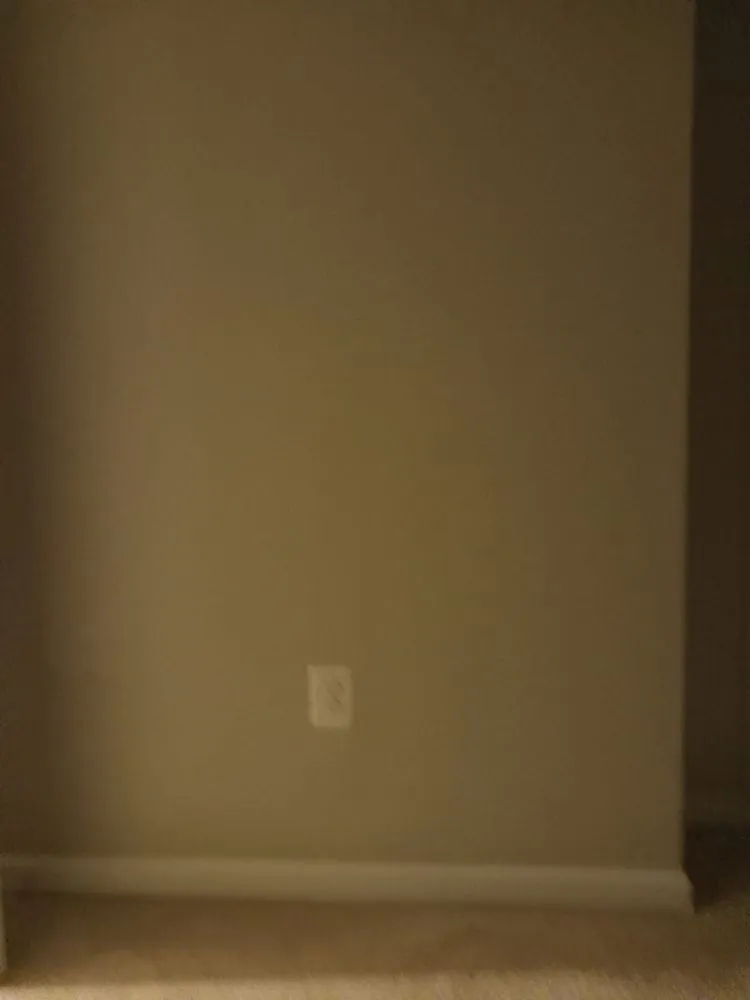 Affordable landscaping services for year-round maintenance in Fredericksburg, VA by New Day services