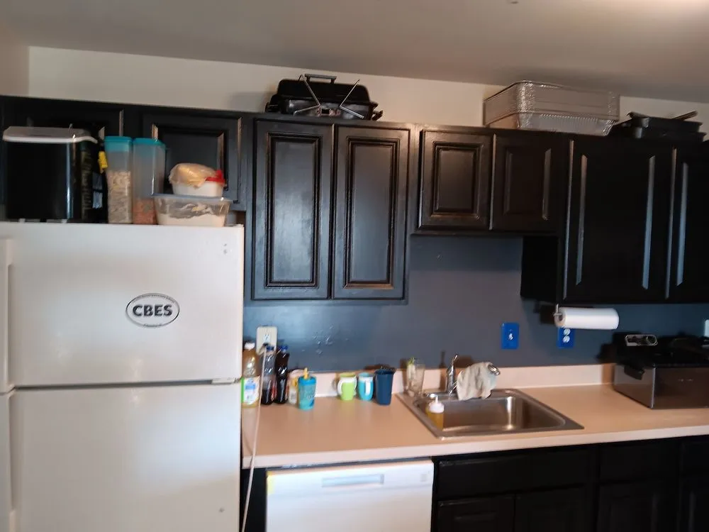 Local yard maintenance with custom design across Fredericksburg, VA - New Day services