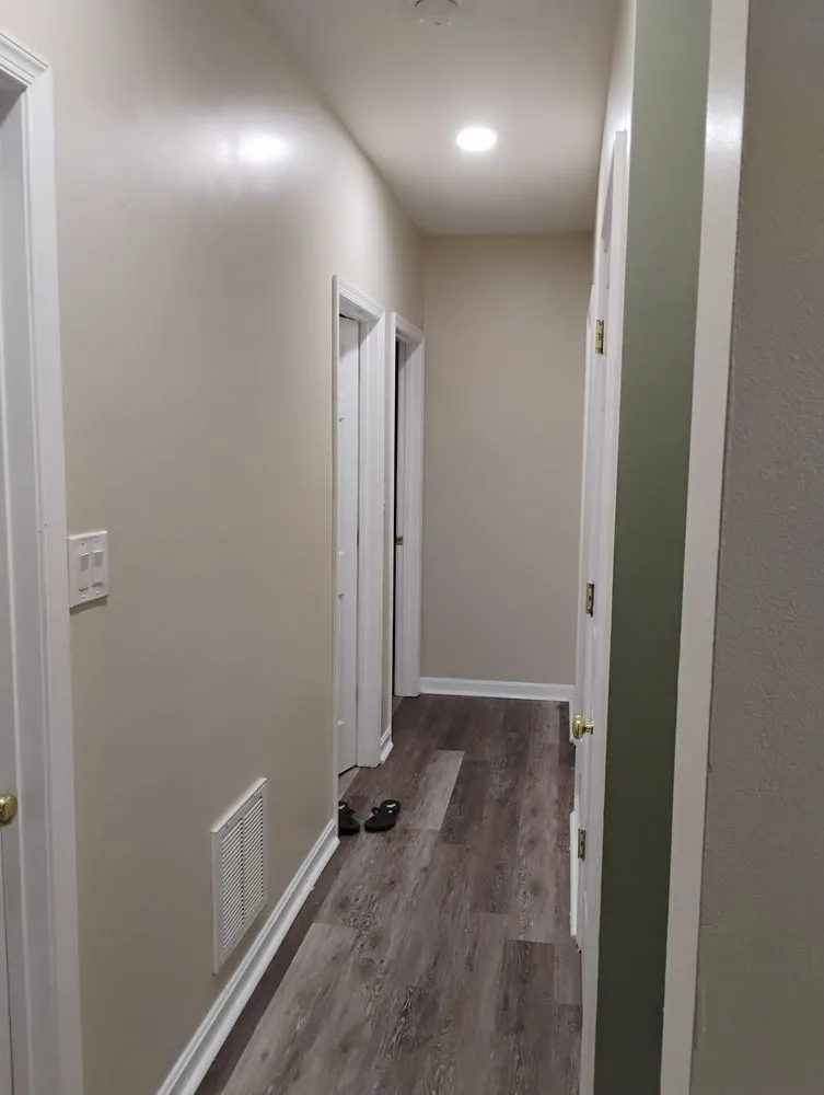 Top-rated yard cleanup service experts serving Fredericksburg, VA - New Day services