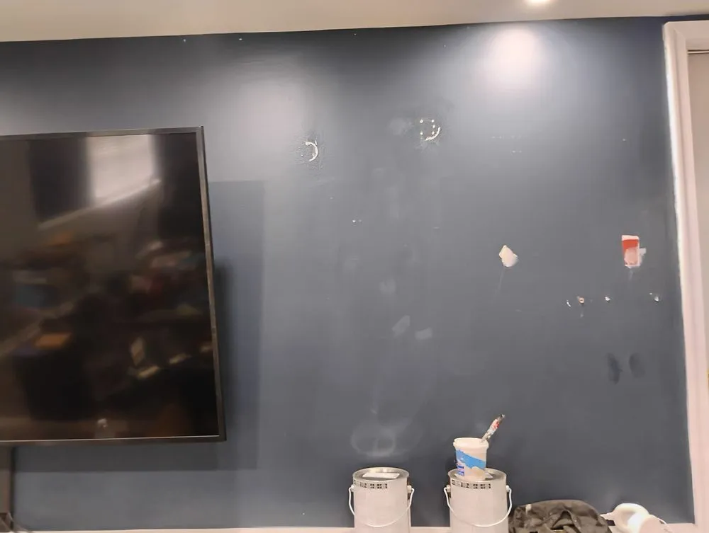 Expert yard cleanup service experts serving Fredericksburg, VA - New Day services