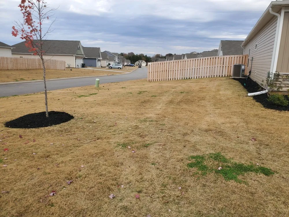 Trusted landscaping services for year-round maintenance in Liberty, SC by New Day Solutions