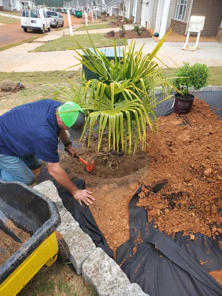 Top-rated landscape installation for year-round maintenance across Liberty, SC - New Day Solutions