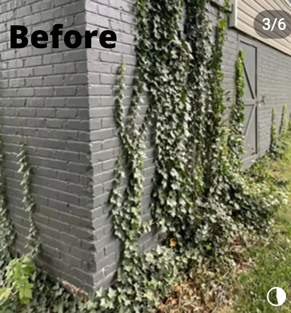 Top-rated landscape design with custom design across Liberty, SC - New Day Solutions