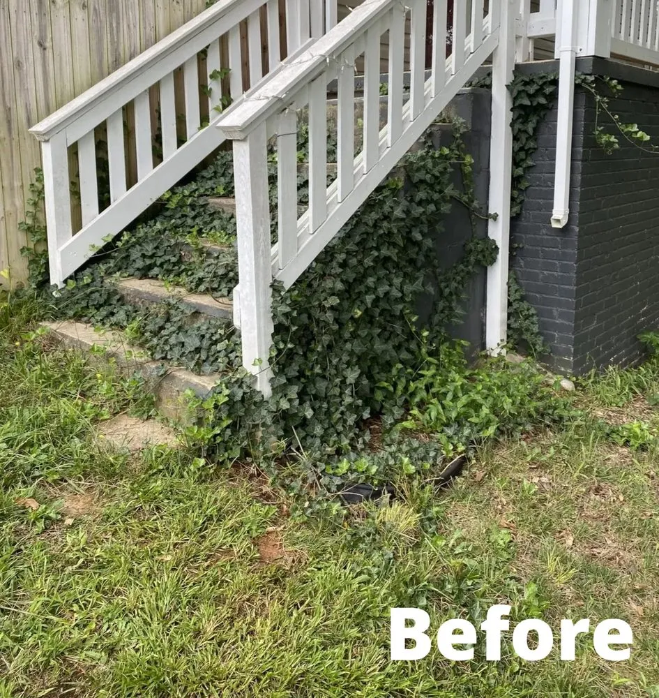 Trusted landscape installation with custom design across Liberty, SC - New Day Solutions