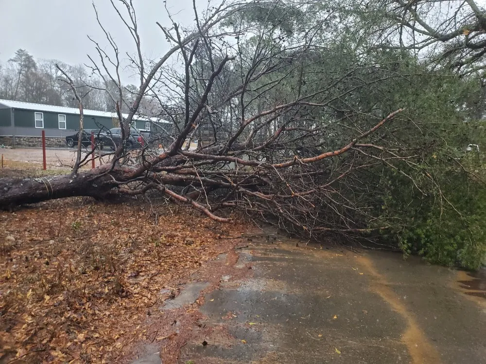 Reliable landscaping services in Liberty, SC by New Day Solutions