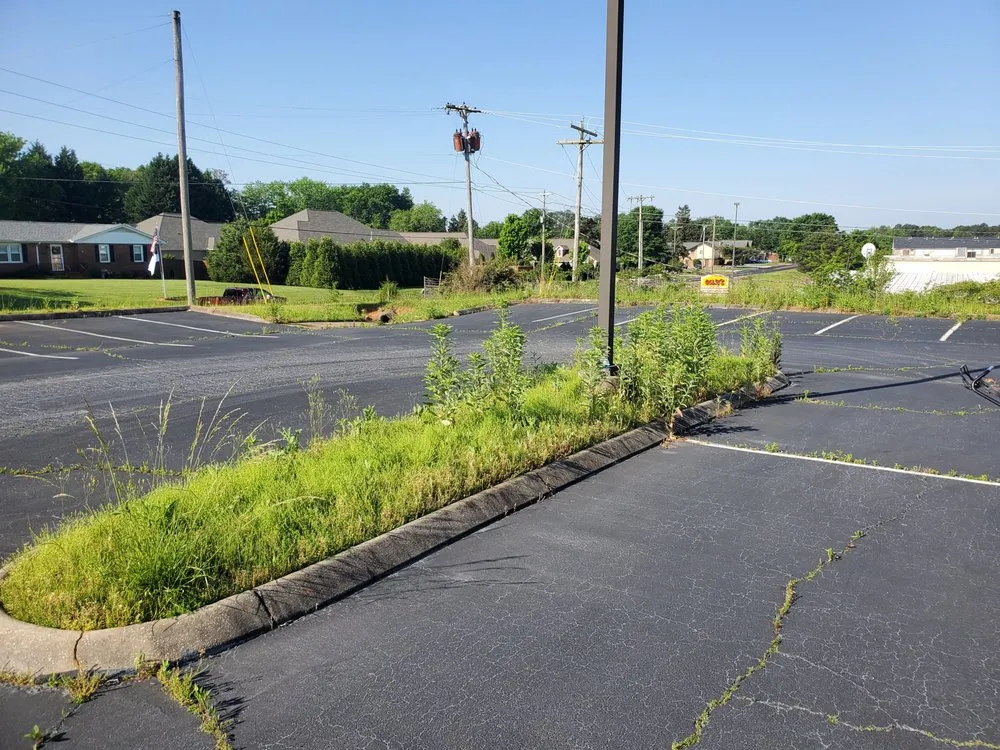 Professional landscape design in Liberty, SC by New Day Solutions