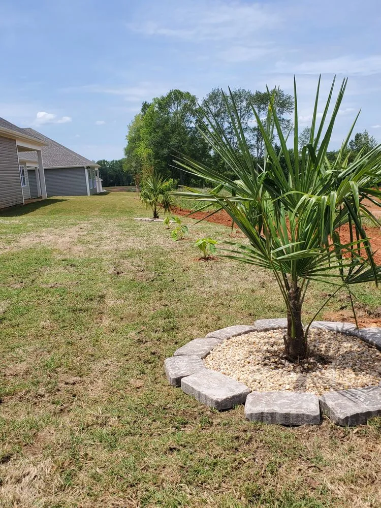Expert landscaping services for residential properties across Liberty, SC - New Day Solutions