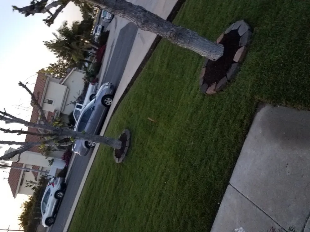 Trusted lawn mowing service for residential properties in San Diego, CA by New Design Landscaping