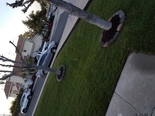 New Design Landscaping Logo