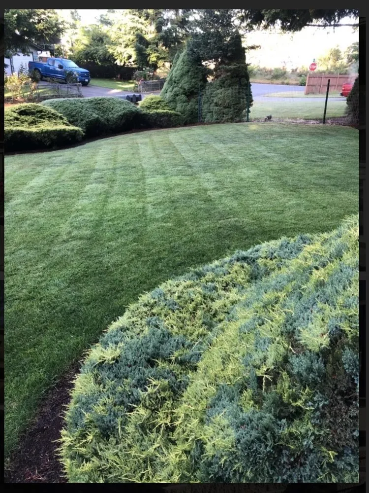 Local yard cleanup service for beautiful yards across Spanaway, WA - New Design Lanscaping