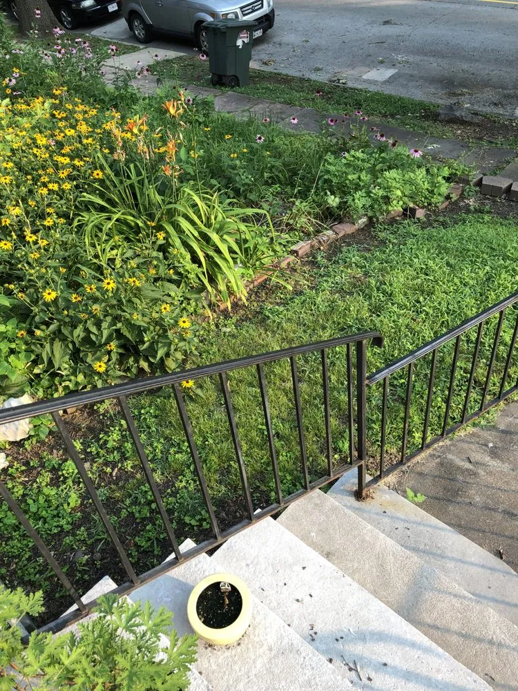 Local landscape installation for outdoor upgrades across Saint Louis, MO - New dimension landscaping services