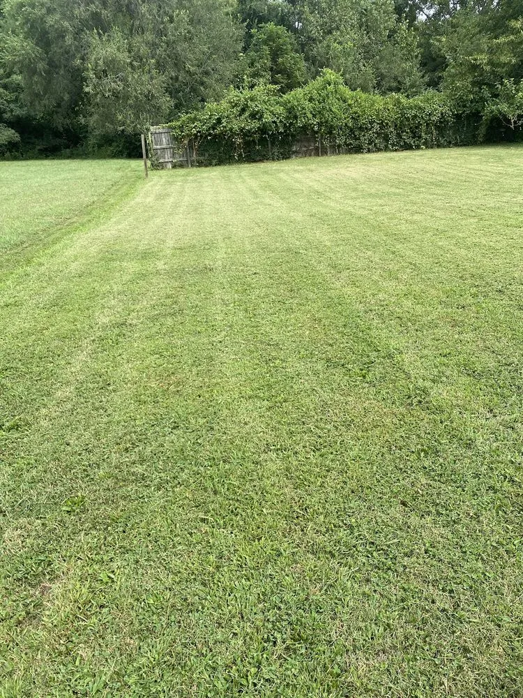 Reliable residential landscaping in Saint Louis, MO by New dimension landscaping services