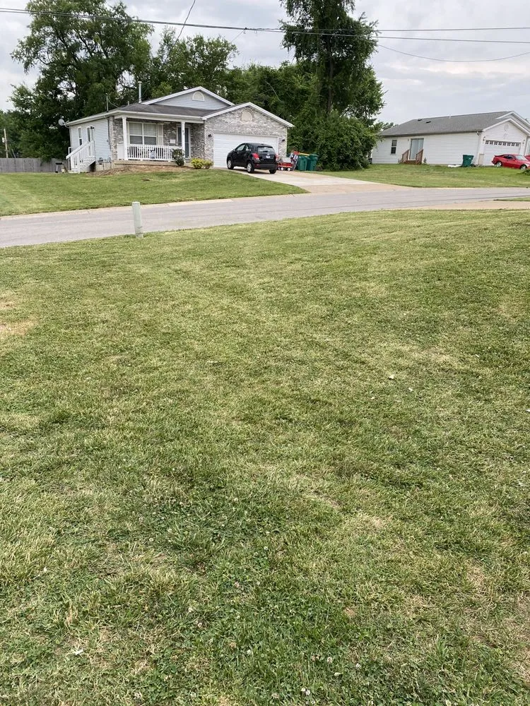 Top-rated yard maintenance experts serving Saint Louis, MO - New dimension landscaping services