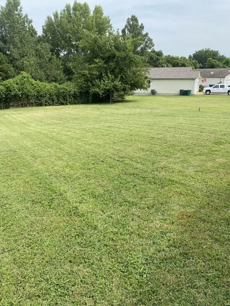 Local garden landscaping in Saint Louis, MO - New dimension landscaping services