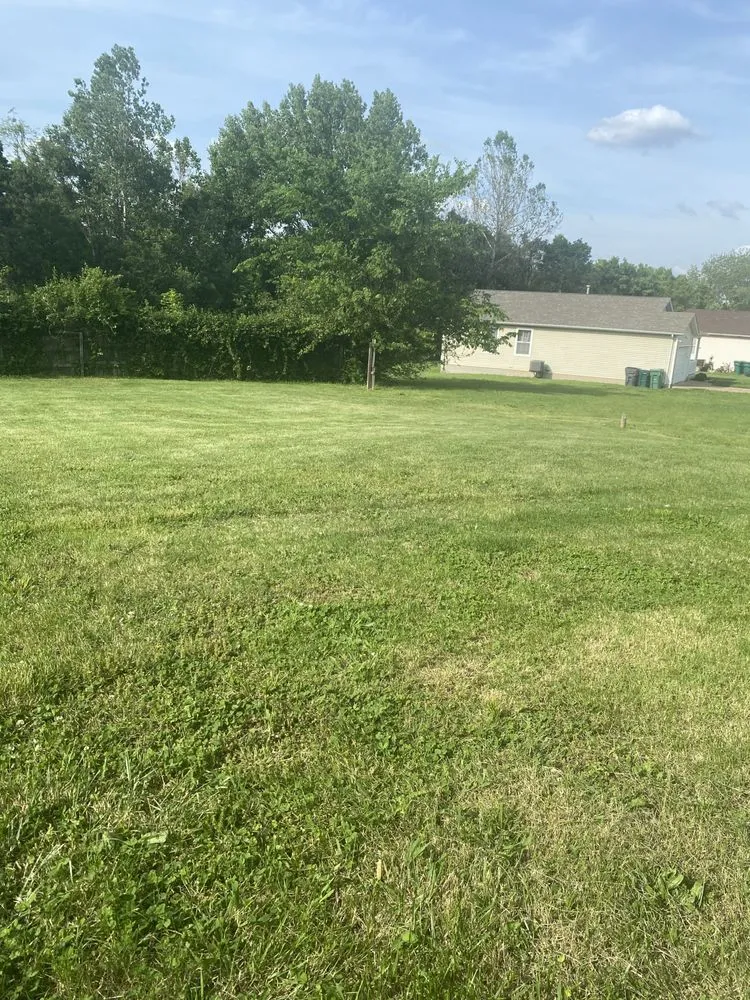 Professional lawn care service in Saint Louis, MO by New dimension landscaping services