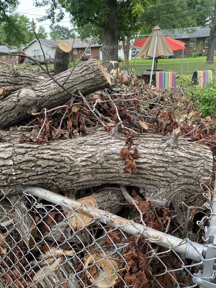 Reliable outdoor landscaping experts serving Saint Louis, MO - New dimension landscaping services