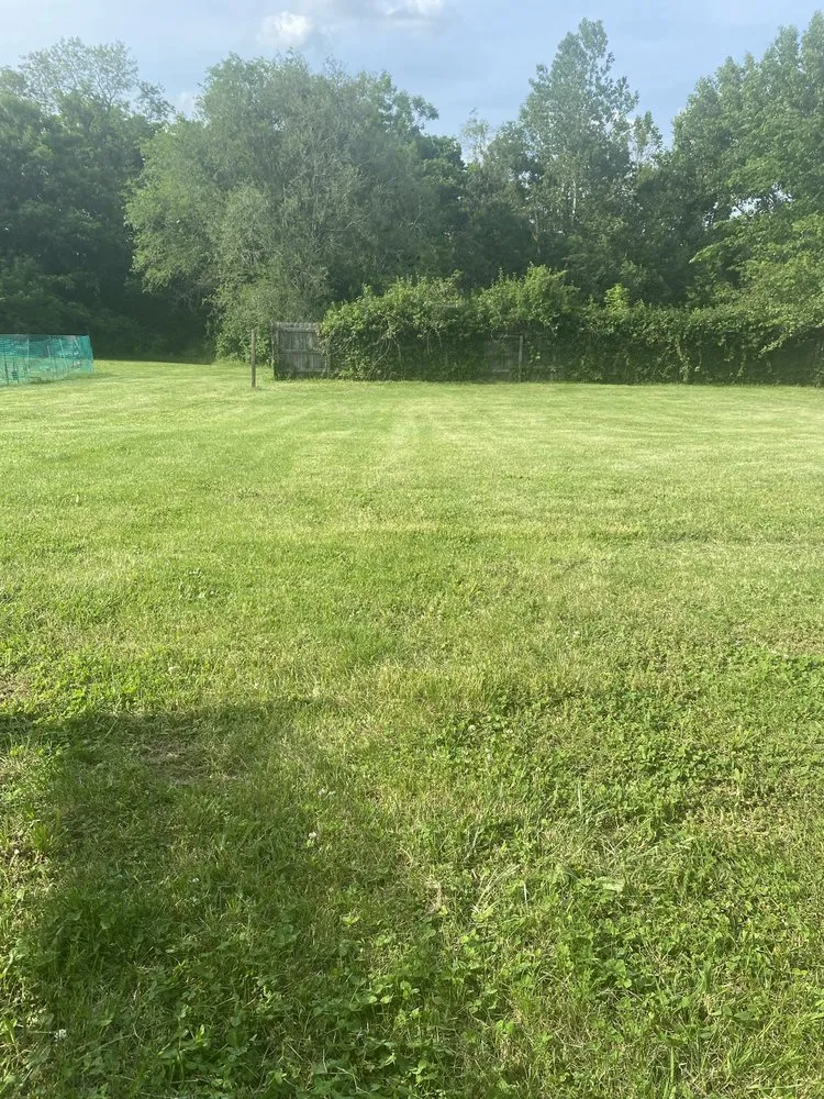 Top-rated lawn mowing service experts serving Saint Louis, MO - New dimension landscaping services