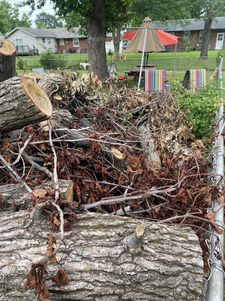 Expert landscape design in Saint Louis, MO - New dimension landscaping services