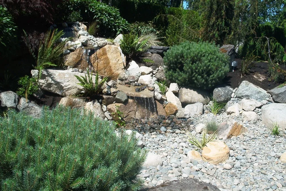 Trusted lawn care service experts serving Puyallup, WA - New Dimension Lawn & Landscape