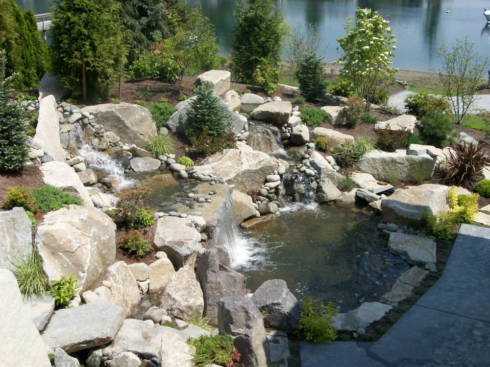 Professional yard cleanup service for homes across Puyallup, WA - New Dimension Lawn & Landscape