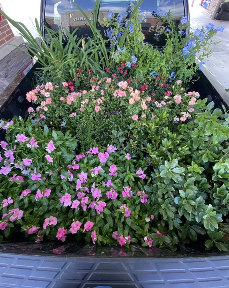 Trusted yard cleanup service in Rosenberg, TX by New direction landscaping