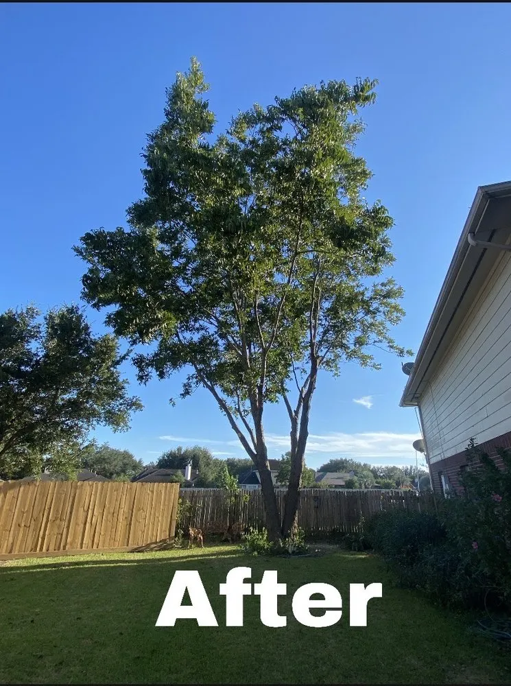 Local landscape installation in Rosenberg, TX - New direction landscaping