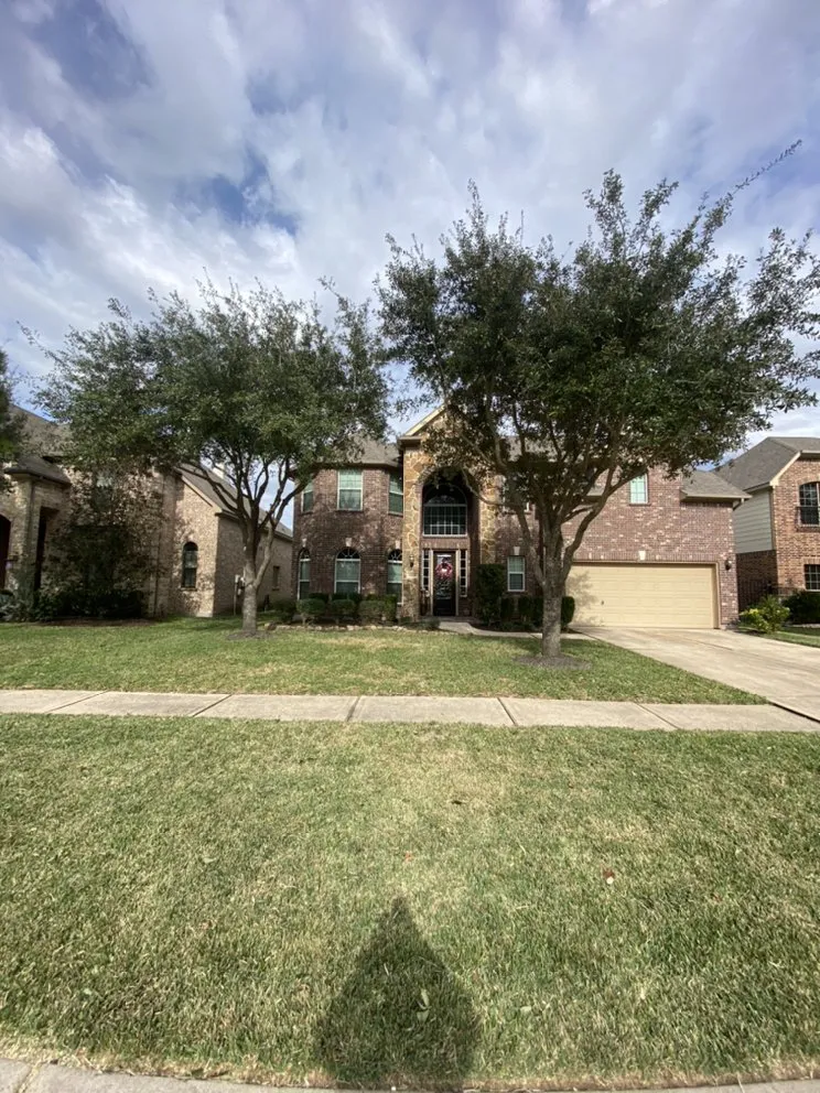 Affordable yard cleanup service near you in Rosenberg, TX by New direction landscaping