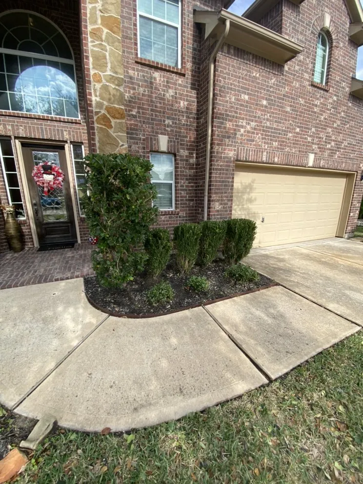 Top-rated yard cleanup service experts serving Rosenberg, TX - New direction landscaping