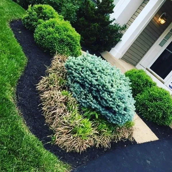 Professional landscaping services in Manassas, VA by New Direction Lawn Care