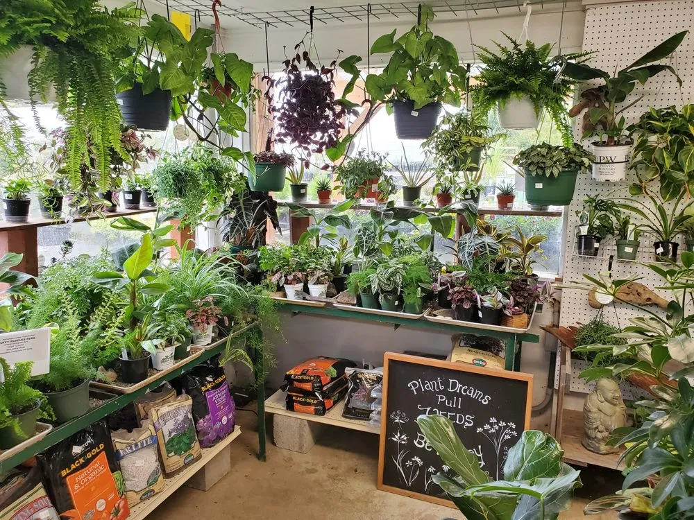 Affordable lawn care service experts serving Sequim, WA - New Dungeness Nursery