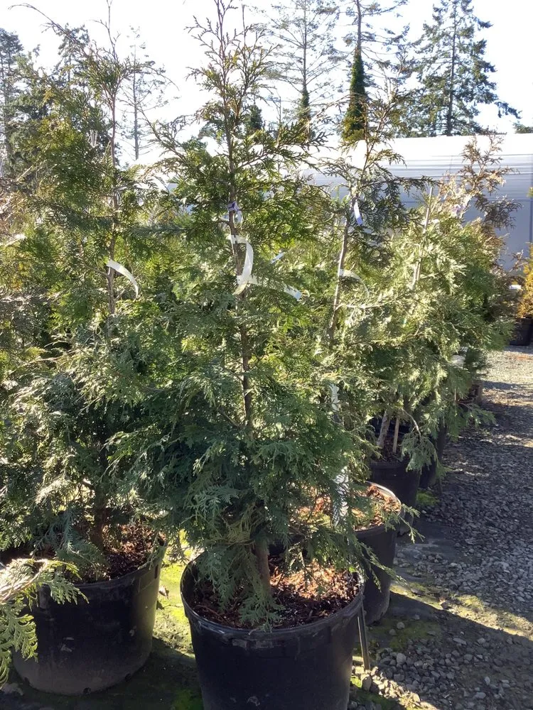 Local landscape design in Sequim, WA by New Dungeness Nursery