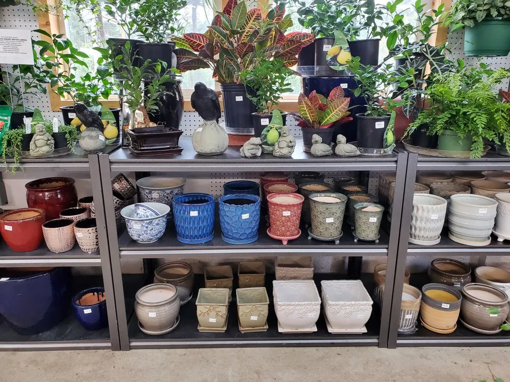 Affordable landscape design experts serving Sequim, WA - New Dungeness Nursery