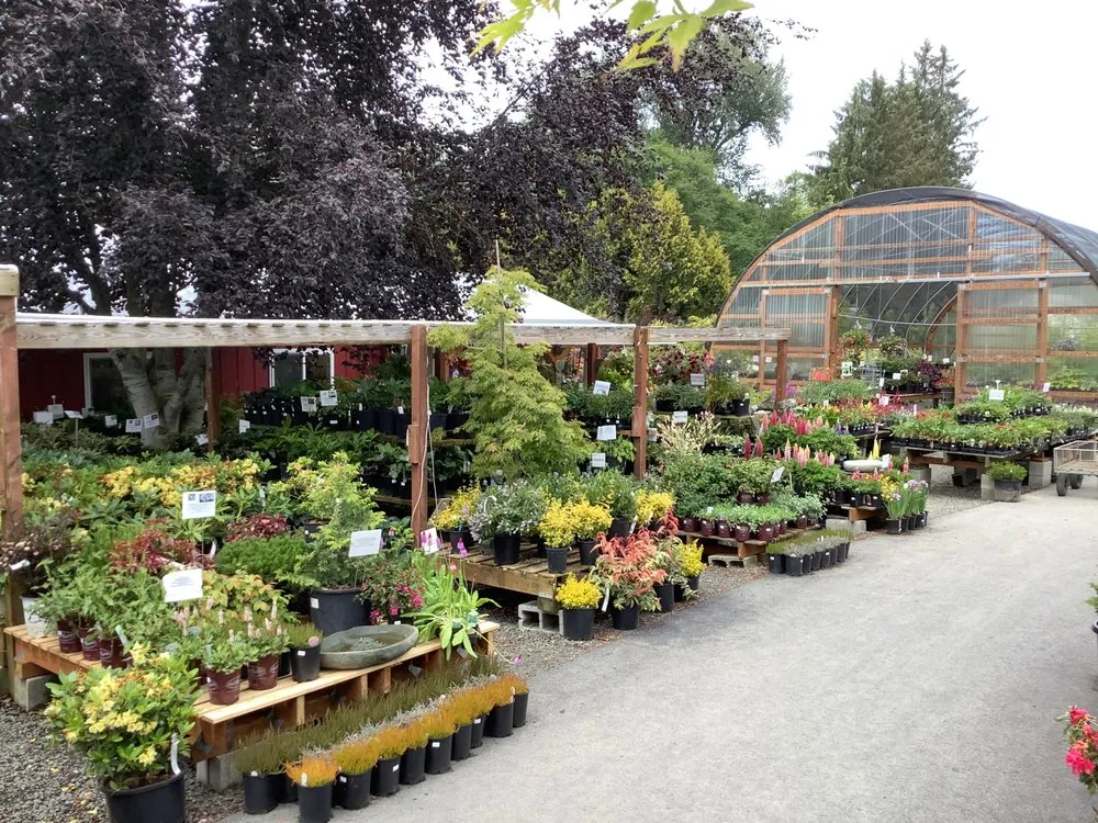 Affordable residential landscaping experts serving Sequim, WA - New Dungeness Nursery