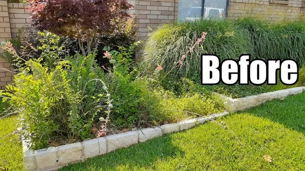 New Earth Landscaping