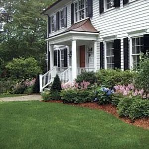 Reliable lawn care service in Springfield, VA by New Earth Landscaping