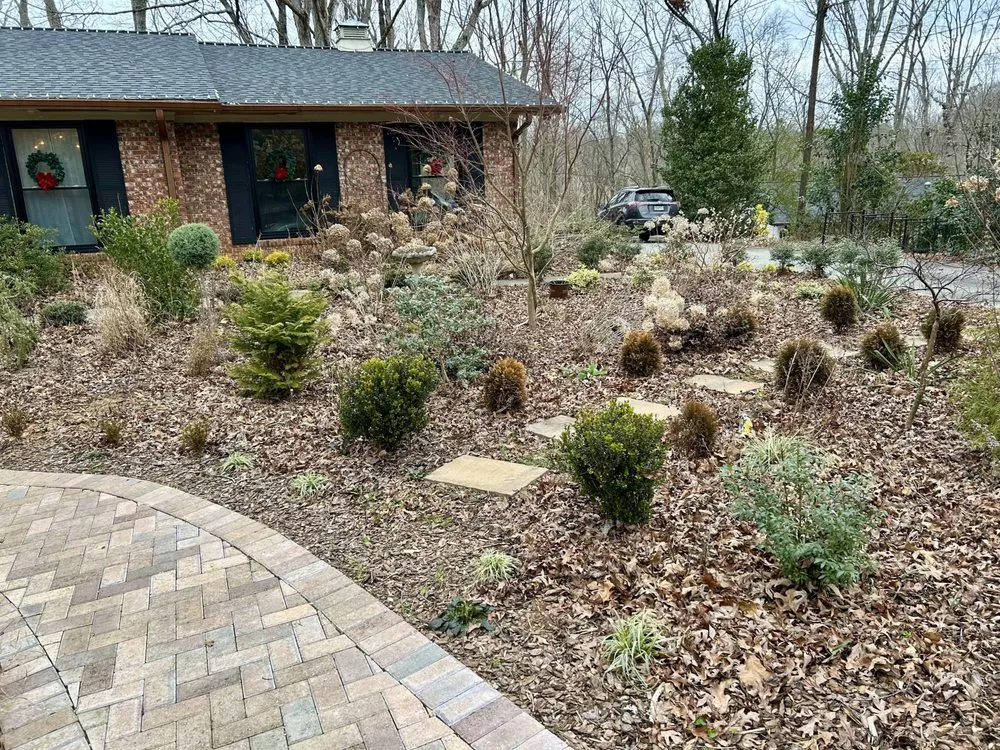 Professional yard maintenance in Springfield, VA by New Earth Landscaping